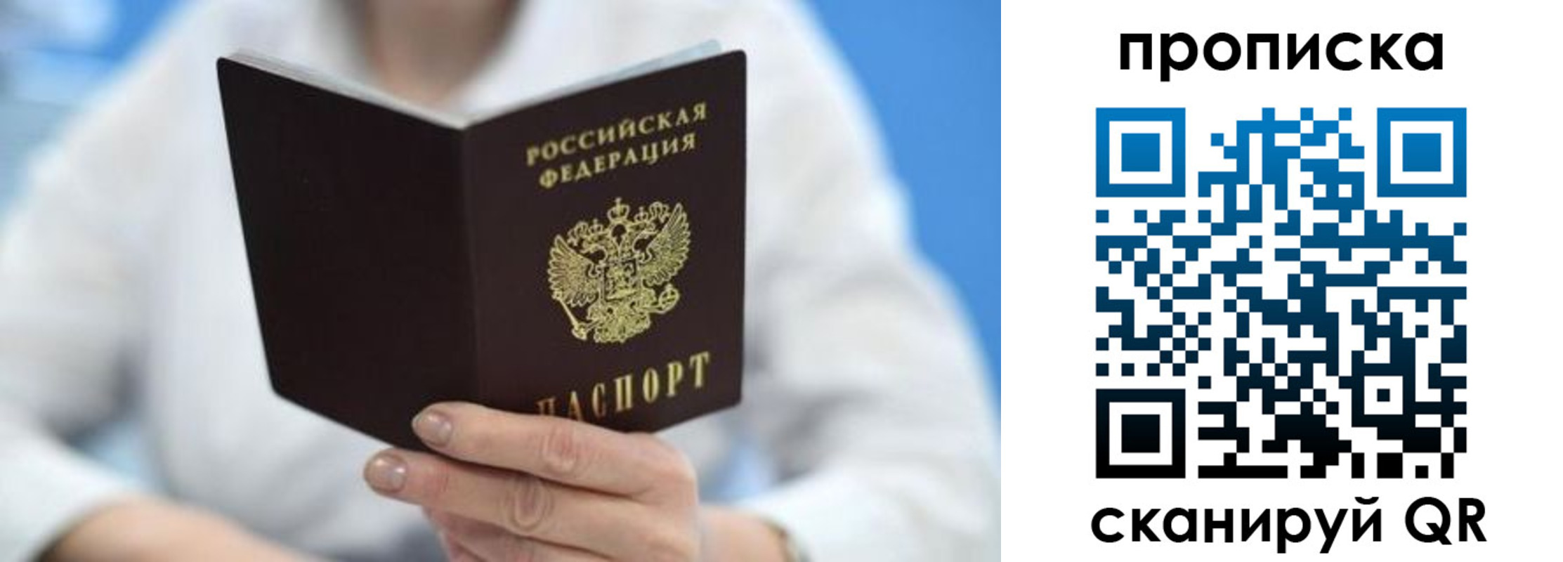 прописка 2025 в Светогорске